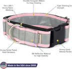 If It Barks - 1.5" Reflective Martingale Collar with Quick Snap Buckle for Dogs - Adjustable - Made in USA - Strong, Durable, and Comfy - Ideal for Training - Fits Most Breeds - Large, Pink