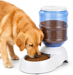 Automatic Dog Feeders - 3 Gallon Capacity Gravity Food Dispenser for Large Dogs and Cats