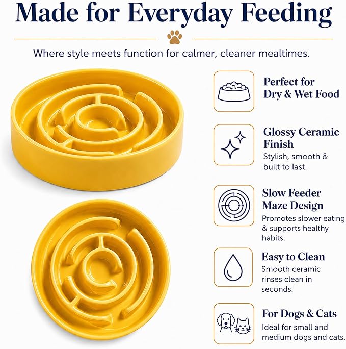 Ceramic Slow Feeder Dog Bowl, 1.5 Cup Puzzle Dish for Small Medium Dogs | Glazed ceramic maze bowl with 1.5-cup capacity for dry or wet food, sized for small and medium dogs