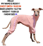D Doggy Star Italian Greyhound Clothes Stretchy Towel Sports Onesie Outfit Whippet for Dog Coat (M,TWL Apricot)