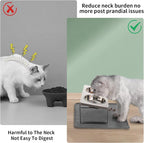 Summark Upgraded Elevated Cat Bowls with Food Mat,15°Tilted Stand Anti Vomiting Raised Cat Dishes for Food and Water,2 Stainless Steel Bowls for Cats and Puppy（Gray）