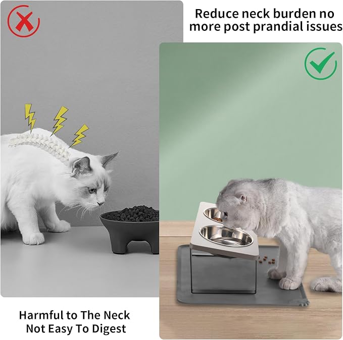 Summark Upgraded Elevated Cat Bowls with Food Mat,15°Tilted Stand Anti Vomiting Raised Cat Dishes for Food and Water,2 Stainless Steel Bowls for Cats and Puppy（Gray）