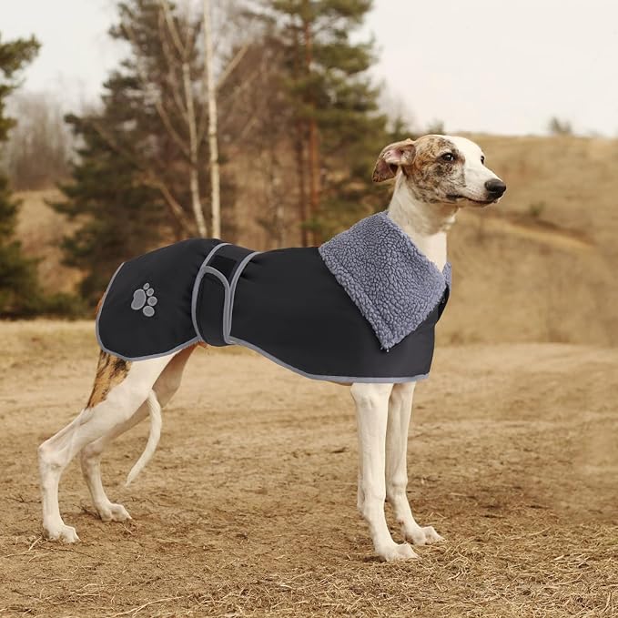Geyecete Dog Winter Coat Geyecete Greyhound Raincoat Fabric with Lamb Velvet Inside Outdoor Dog Apparel with Adjustable Bands for Medium, Large Dog-Black-M