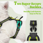 rabbitgoo Dog Harness No Pull with 2 Leash Clips, Adjustable Soft Padded, Reflective Oxford No Choke Pet Vest with Easy Control Handle for Puppy, Green, XS | No Choke with Handle, Adjustable Soft Padded, Reflective, Easy Control for Walking, Wild Lime,...