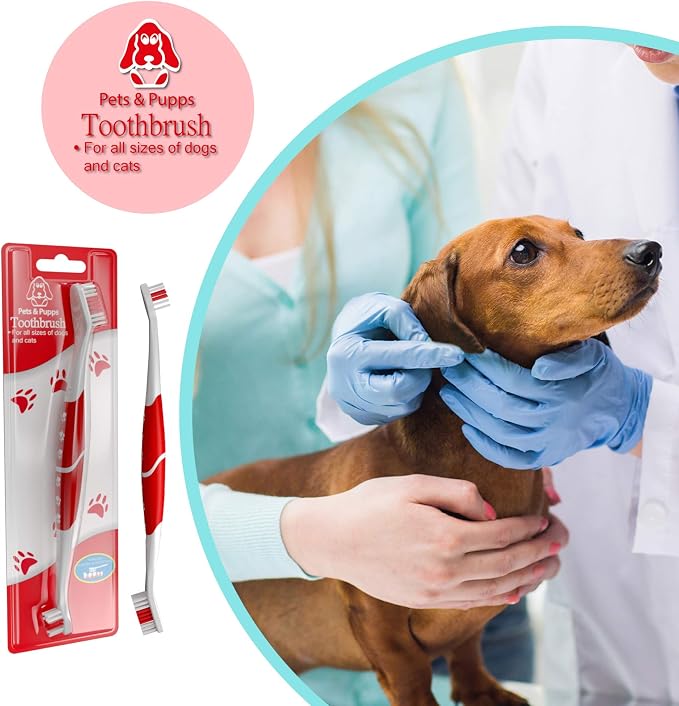 Pet Toothbrush for Dogs, Cats with Soft Bristles - Easy Teeth Cleaning & Dental Care, Non Slip Dual Head Dog Toothbrush for Medium & Large Pets, Toothpaste Not Included, Pack of 1 Green