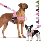 Lukovee No Pull Dog Harness and Leash Set - Adjustable Soft Padded Vest with Front Clip for Easy Control, Reflective Durable Harness for Safe Daily Training Walking for Medium Large Dogs (S, PI)
