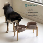 Havniva Elevated Slow Feeder Dog Bowls, Ceramic Dog Bowl Slow Feeder Set | 1.6 Cups Raised Slow Feeding Bowl for Medium Breed, 7.3” Dog Water Bowl with Wooden Stand, Puzzle Dog Slow Feeder, Non-slip