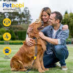 Petbobi Dog Tie Out Cable and Stake, 50ft Heavy Duty Dog Leads for Yard | 4in Shock Spring, 16in Spiral Ground Anchor, 360° No-Tangle Swivel, Chew-Proof Rustproof Wire, Up to 120 lbs, Outdoor Camping