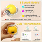 Muhhiba Interactive Cat Toys for Indoor Cats, Electric Cat Ball Fast Rolling in Pouch, Motion Activated Chirping Cat Toy, Hide and Seek Cat Toy with LED Light