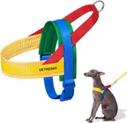 VETRESKA MoMA Dog Harness and Leash Set, Easy Walk Dog Harness (Yellow, L) | for Large Dogs, No Pull Puppy Harness for Walking and Training, Adjustable, Take Control & Anti-Twist Pet Lead Combo
