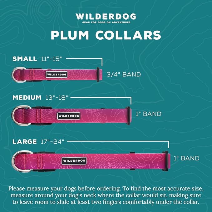 Wilderdog Waterproof Dog Collar - Repels Water & Dirt - Medium 13in -18in - Plum
