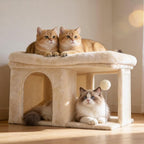 Heybly Cat Tree, 14" Cat Tower with Large Cat Bed & Condo HCT203SM | Cat Furniture for Indoor Cats Large Adult, Cat House with Scratching Posts and Spring Balls for Kittens, Beige