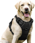 rabbitgoo Dog Harness, No Pull for Large Dogs with 2 Leash Clips, Pet Vest | No Choke with Handle, Adjustable Soft Padded, Reflective, Easy Control for Walking, Black, Large
