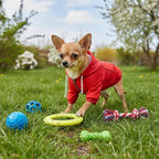 Dog Raincoat rain Jacket Raincoat Dogs Waterproof Small Medium Breeds Zip Closure Storage Pocket Harness Hole Red S