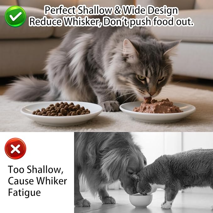 Cat Food Bowl Set of 3, Ceramic Cat Bowls, Anti Whisker Fatigue Cats Bowl Set,5.9 Inches Shallow Wide Kitten Plates for Wet/Dry Food, Indoor Pets (Fish Bone)