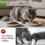 Cat Food Bowl Set of 3, Ceramic Cat Bowls, Anti Whisker Fatigue Cats Bowl Set,5.9 Inches Shallow Wide Kitten Plates for Wet/Dry Food, Indoor Pets (Fish Bone)