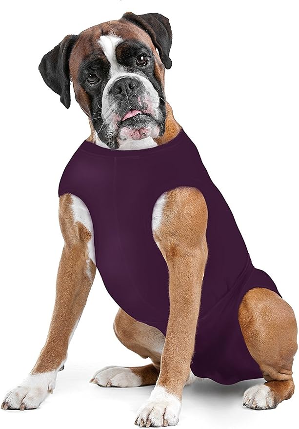 SurgiSnuggly Veterinary Invented Dog Surgical Recovery Suit for Female Spay or Male Dogs Neuters,Cone Alternative, Original Dog Onesie Bodysuit for After Surgery Small, Medium, Large Dogs PL ML