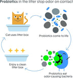 Boxie Probiotic Clumping Cat Litter 40+ Day Odor Control Dust Free 40 lb
