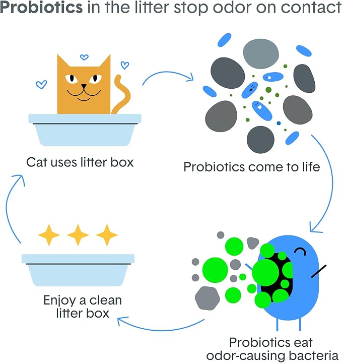 Boxie Probiotic Clumping Cat Litter 40+ Day Odor Control Dust Free 40 lb