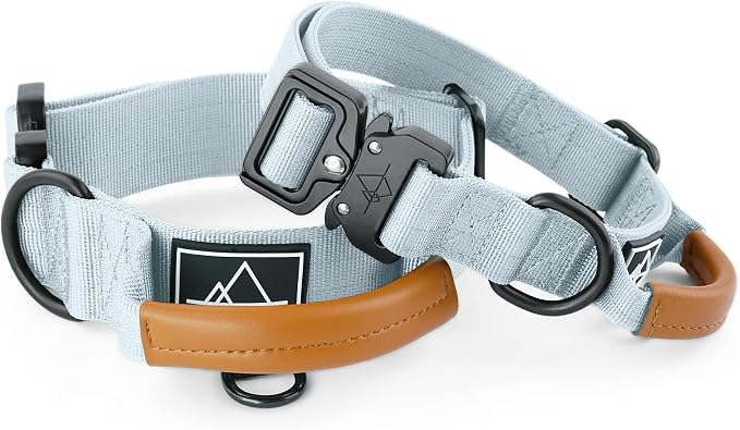MADE TO ROAM Control Dog Collar | Leather Handle & Heavy Duty Metal Buckle | Premium adjustable collar with vegan leather handle. Fits medium to large dogs. 15 colors. Matching leash & harness