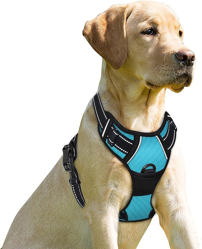 BARKBAY No Pull Dog Harness Front Clip Heavy Duty Reflective Easy Control Handle for Large Dog Walking(Blue,XS)