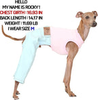 D Doggy Star Italian Greyhound Clothes Sleeveless Jeans Onesie Outfit Whippet for Dog Coat (3XL,Sky Blue Jean)