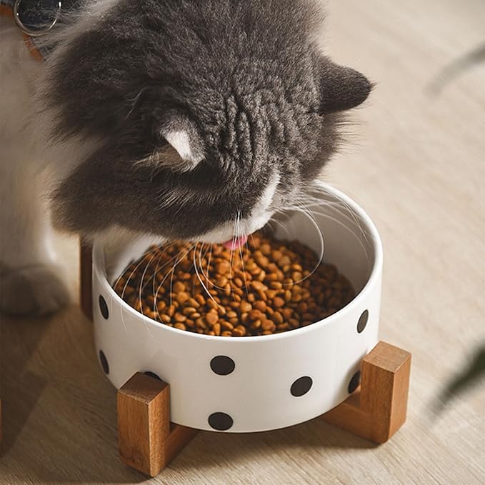 Petygooing Ceramic Dog Bowl Set with Stand, Small Pet Bowls, Anti-Slip Cat & Dog Food and Water Bowl Set (13.5OZ/5.1 in) Black Dot