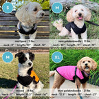 Gooby Fashion Vest Dog Jacket - Black, Medium - Warm Zip Up Bomber Vest with Dual D Ring Leash - Winter Water Resistant Small Dog Sweater