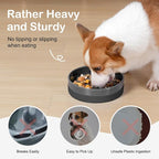 Sted Ceramic Slow Feeder Dog Bowls with Silicone Base | Slow Feeding Dog Bowl Small Medium Breed, Dog Food Bowls for Fast Eaters, Slow Down Eating, Puzzle Dog Food Bowl, Maze Grey