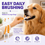 Dog Toothbrush, Dual-Head, for Medium-Large Dogs, Orange | Soft Bristles for Gentle Cleaning, 60° Curved Bristles for Better Coverage, Comfortable for Sensitive Gums