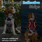 rabbitgoo Escape Proof Dog Harness for Small, No Pull with Lift Handle | No Escape, Full Soft Padded, Reflective Adjustable Vest, Leash Clip for Walking Hiking Training, Sky Blue & Red, Small