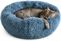Whiskers & Friends Cat Beds for Indoor Cats, Fluffy Cat Bed Small to Large | Orthopedic Soft Plush Calming Donut Bed, Washable Round Pet Bed, Sized for Kitten to Large Cats & Puppy to Small Dogs
