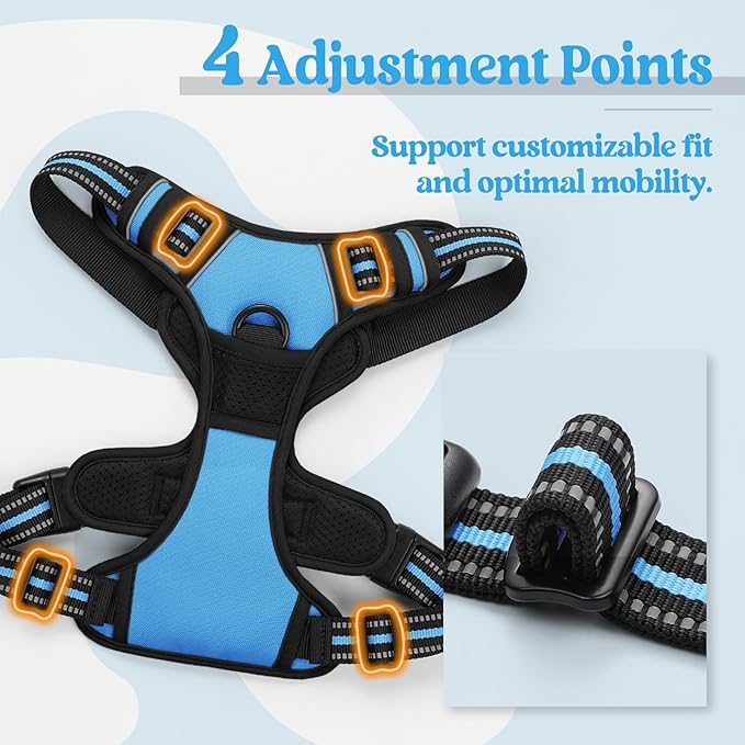 rabbitgoo Dog Harness, No Pull for Large Dogs with 2 Leash Clips, Pet Vest | No Choke with Handle, Adjustable Soft Padded, Reflective, Easy Control for Walking, Blue, Large