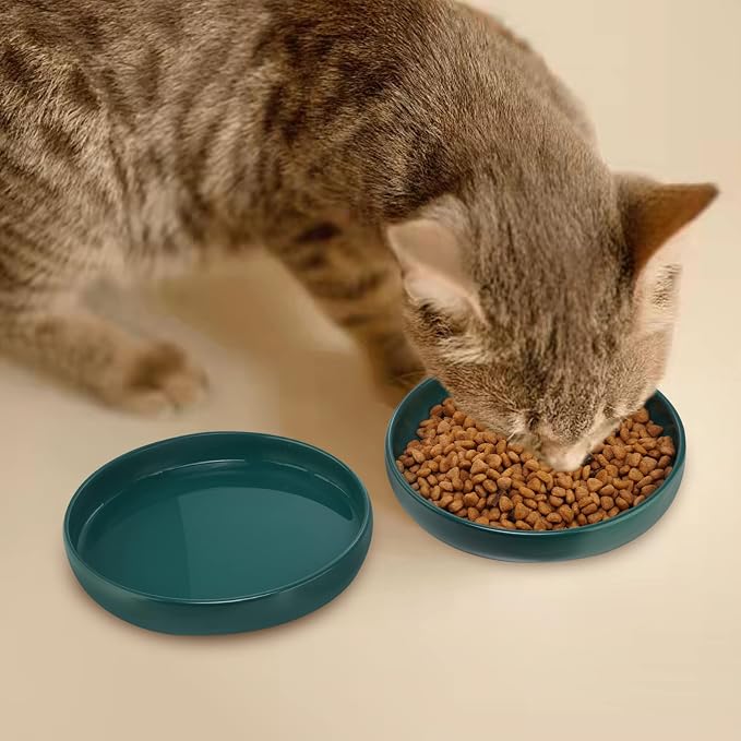 Ceramic Cat Bowls,Shallow Cat Dishes for Food and Water, 6 inch Matte Finish Wide Cat Food Bowl,Whisker Fatigue Free Pet Puppy Kitten Bowl Set of 3,Dishwasher Safe