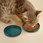 Ceramic Cat Bowls,Shallow Cat Dishes for Food and Water, 6 inch Matte Finish Wide Cat Food Bowl,Whisker Fatigue Free Pet Puppy Kitten Bowl Set of 3,Dishwasher Safe
