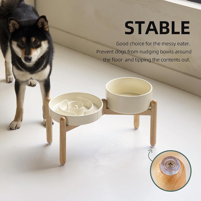 Havniva Elevated Slow Feeder Dog Bowls, Ceramic Dog Bowl Slow Feeder Set | 1.6 Cups Raised Slow Feeding Bowl for Medium Breed, 7.3” Dog Water Bowl with Wooden Stand, Puzzle Dog Slow Feeder, Non-slip