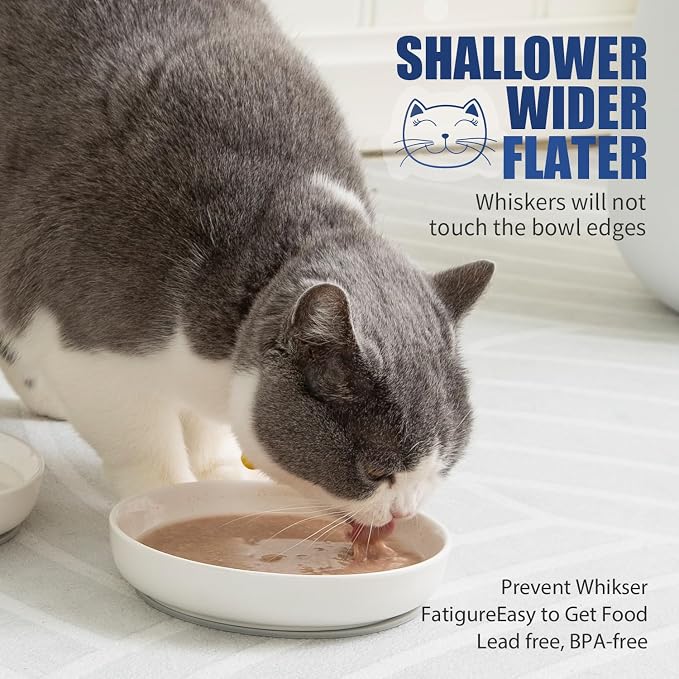 Lusifaco Shallow Wide Cat Food Bowls Anti Whisker Fatigue (Grey, 3 Pack) | 5.9 Inch 2 Height Raised Ceramic Cat Dishes with Bamboo Stand, Flat Pet Water Food Plates Feeding Station for Indoor Kitten