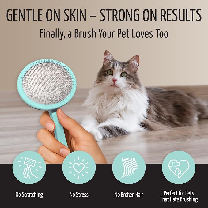Tauro Pro Line Deshedding Wooden Brush for Dogs & Cats, Medium (M), Mint | Dematting & Detangling, for Mid-Length to Long Coats, Round Flexible Cushion, Ideal for Cocker Spaniels