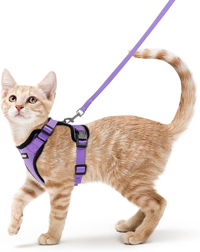 rabbitgoo Cat Harness and Leash Set, Escape Proof Vest, Light Purple | Soft Breathable Mesh, Easy Adjustable Fit, Snap Buckles, Sturdy Clip, Reflective Strips, for Average Cats Walks, S