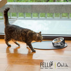 Felli Oblik Elevated Cat Bowl Removable Stainless Steel Wide Dish for Dry Wet Food Feeding & Dishwasher Clean, Slanted Whisker Fatigue Friendly Metal Plate (Smoky, 0.5 Cups Shallow Dish)