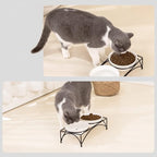 FOREYY Elevated Cat Bowls with 2 Ceramic & 2 Stainless Steel Bowls, Raised Cat Food & Water Dishes with Iron Stand, Porcelain Pet Dishes for Cats & Small Dogs, 16 Ounces, Dishwasher Safe (White)