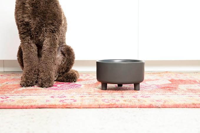 Waggo Uplift Ceramic Dog Bowl for Small Medium and Large Breeds - Heavyweight and Durable Pet Food and Water Dish Crock, Dishwasher Safe, Modern, Elevated Feeder (Black, Medium)