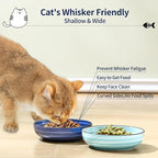Selamica Ceramic Cat Food Bowl, 5.6 Inch Wide Shallow Cat Bowls/Dishes for Food and Water, Whisker Friendly, Set of 6, Gradient Blue