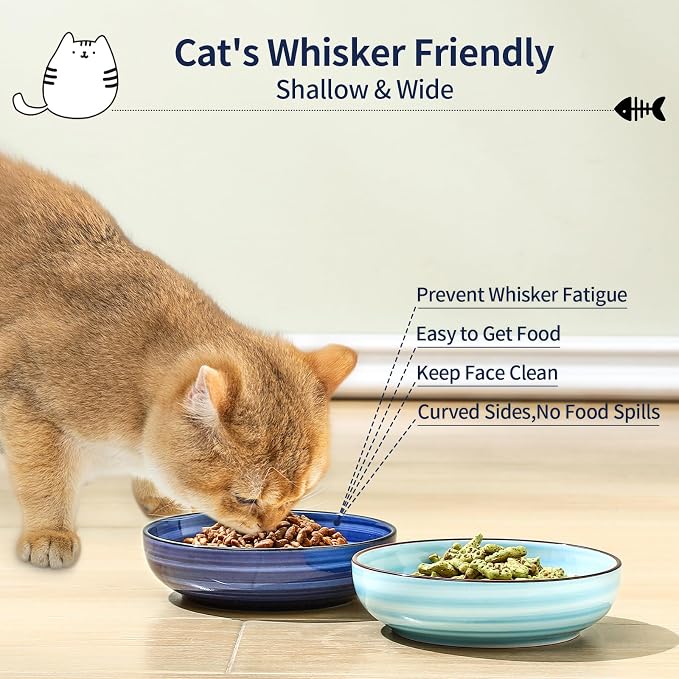 Selamica Ceramic Cat Food Bowl, 5.6 Inch Wide Shallow Cat Bowls/Dishes for Food and Water, Whisker Friendly, Set of 6, Gradient Blue