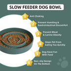 Havniva Slow Feeder Dog Bowls, Ceramic Dog Bowl Slow Feeder for Fast Eater | 1.6 Cups Puzzle Dog Food Bowl, Slow Feeding Bowls for Medium Dogs, Non-Slip Rubber Base, Anti-Choking