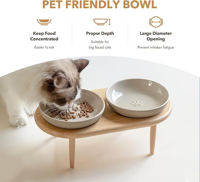 Havniva Elevated Cat Bowls, Raised Cat Bowl Ceramic Cat Dishes with Stand | Raised Cat Food Bowls, Whisker Friendly, 6” Shallow Cat Dishes, Wide Cat Plates, Non-Slip Wood Stand, Two Heights