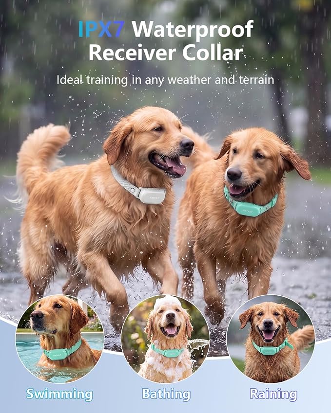 PATPET Shock Collar for Dogs(10-120lbs), 4000ft Rechargeable IPX7 Waterproof Training Collar with Remote for 2 Dogs- Electric Dog Collar for Small Medium Large Dogs 2 Packs | Rechargeable 3 Training Modes (Beep/Vibration/Shock) Dog Training Collar with...