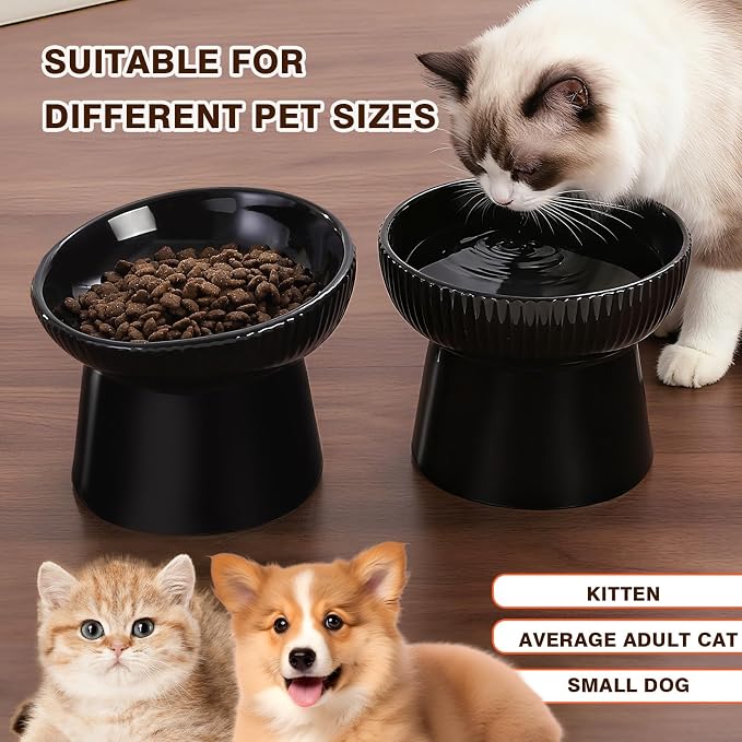 Elevated Cat Food Bowl, Ceramic Raised and Tilted Water Bowl, Whisker Fatigue Cat Bowls for Indoor Cats, Anti Vomiting and Protect Spines Pet Feeding Dishes for Kittens Small Dog, Heavy Non-Slip Base