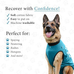 BellyGuard Dog Surgery Recovery Suit, Post-Op Dog Recovery Suit for Female Spay & Male Neuter, Comfy Onesie for Pets, Surgical Body Cover for Canine Healing Support