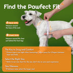 Eagloo Small Dog Harness and Leash Set, Step in Extra Small Puppy Pet Vest | Light, Soft, Breathable Air Mesh, Easy on and off with Hook & Loop, Reflective for Safe Walking, Green, XXS